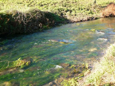 Río Trabada ó seu paso por Piagonegro